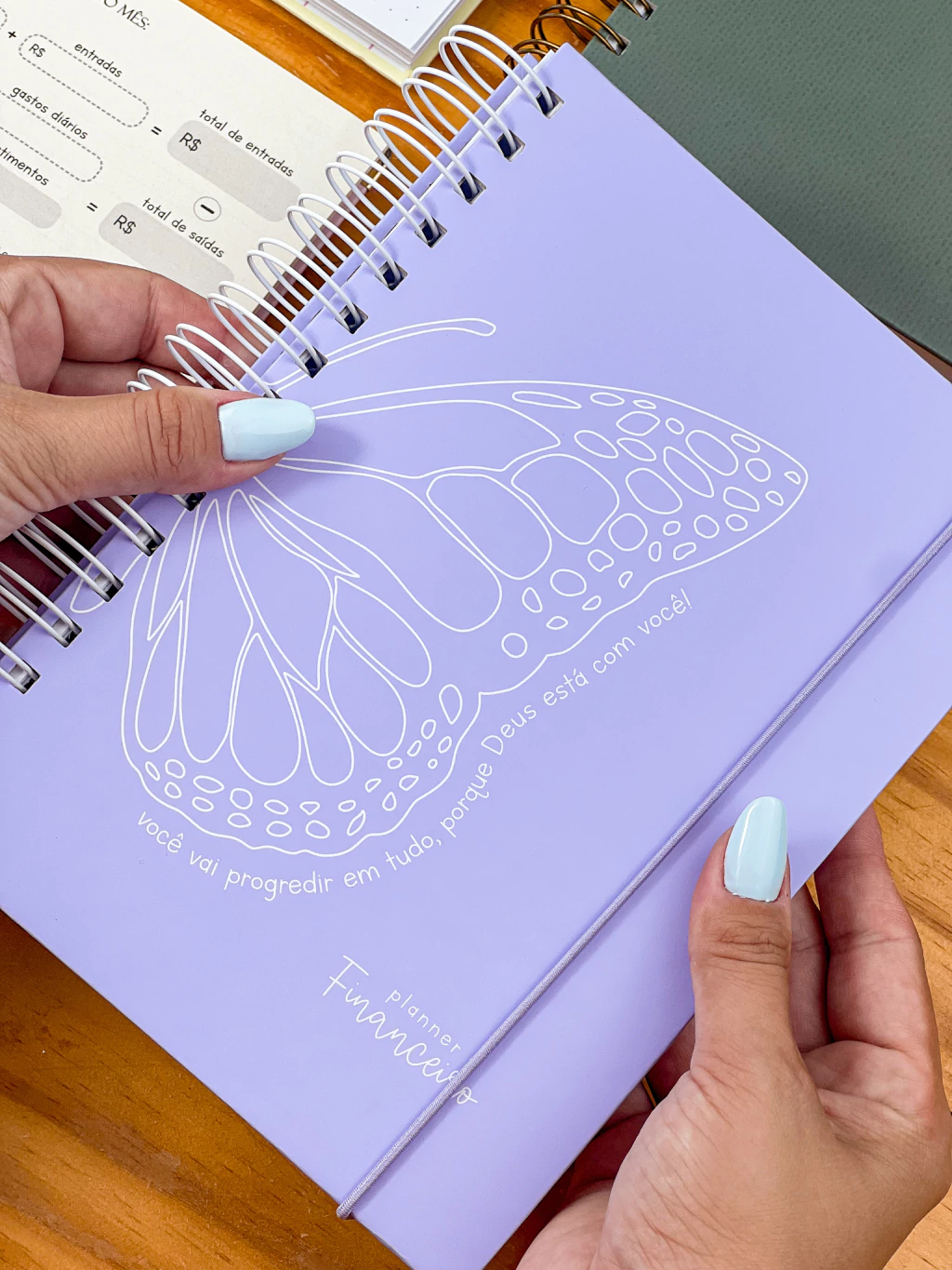 Planner Financeiro Neutro